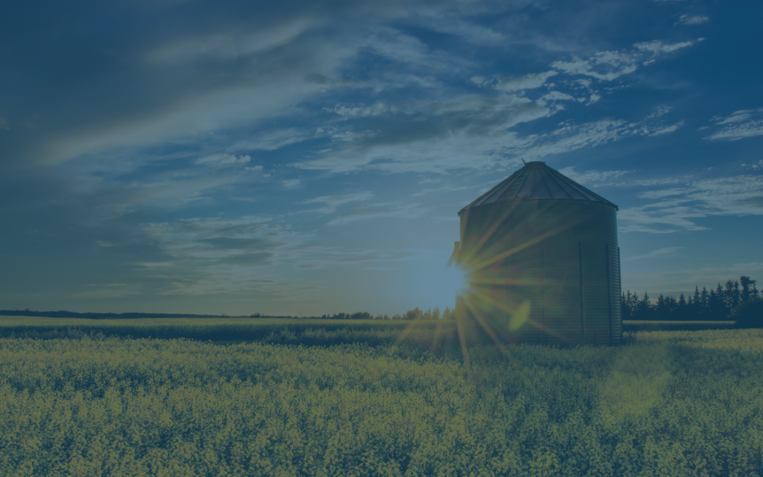 Introducing… Foundations for the Future